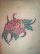 imagebam.com