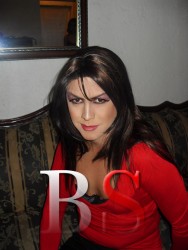 imagebam.com