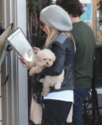 Ashley Tisdale アシュレイ・ティスデイル